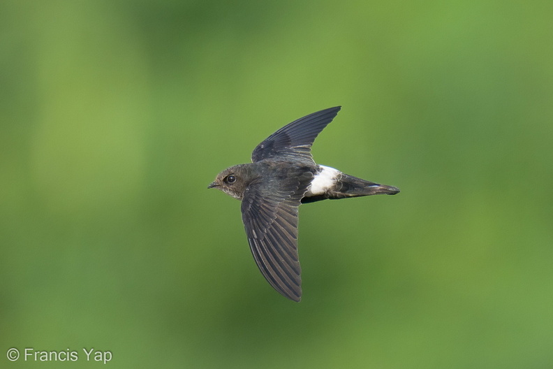 House_Swift-211228-134MSDCF-FRY02812-W.jpg