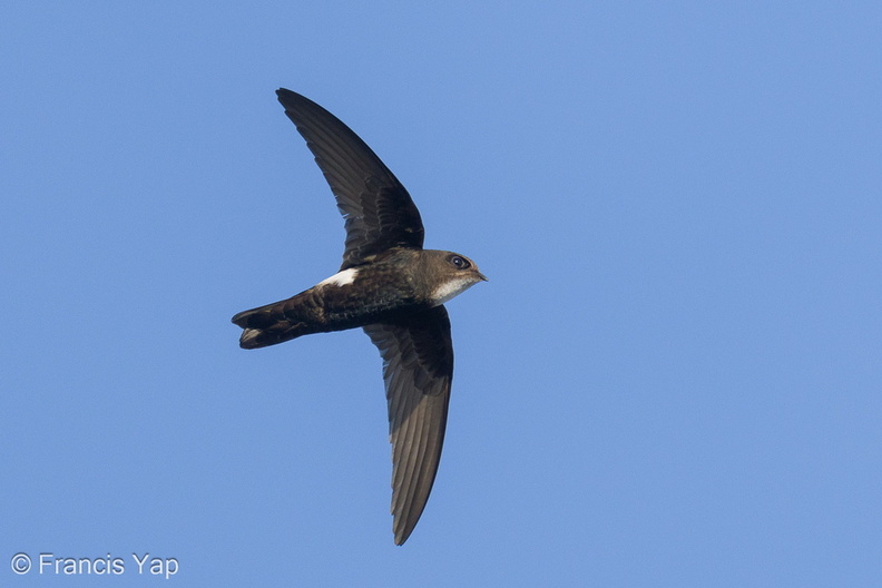 House_Swift-240219-215MSDCF-FYP06718-W.jpg
