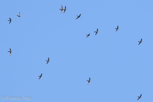 House Swift-190506-117ND500-FYP_1813-W.jpg