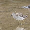 Ruff-161202-107EOS1D-F1X26447-W.jpg